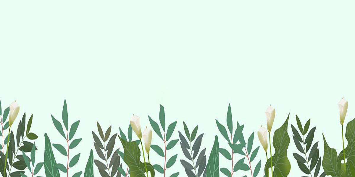 合肥证书挂靠：常见问题、风险与合规建议解析